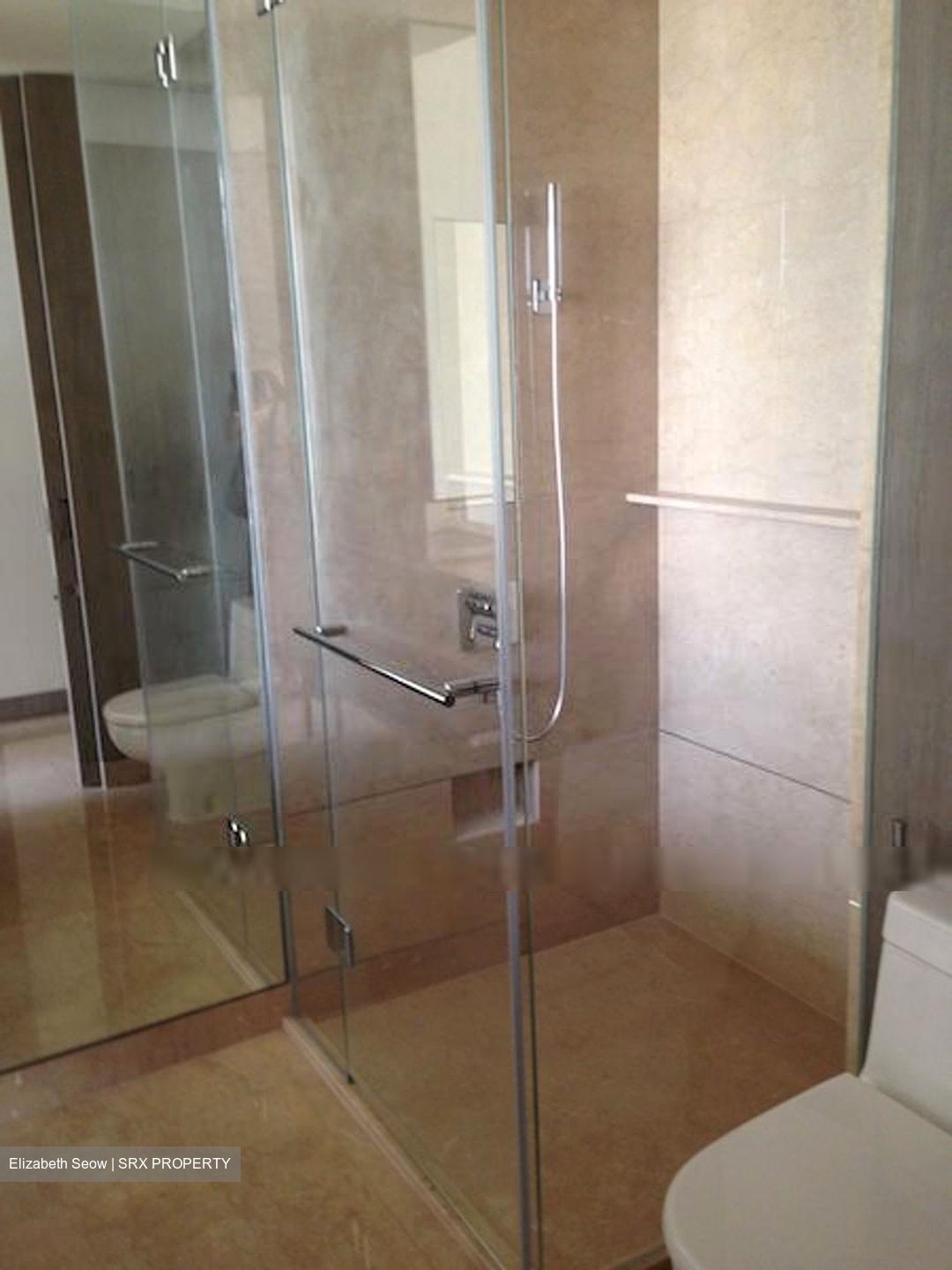 Ardmore Residence (D10), Condominium #381104881